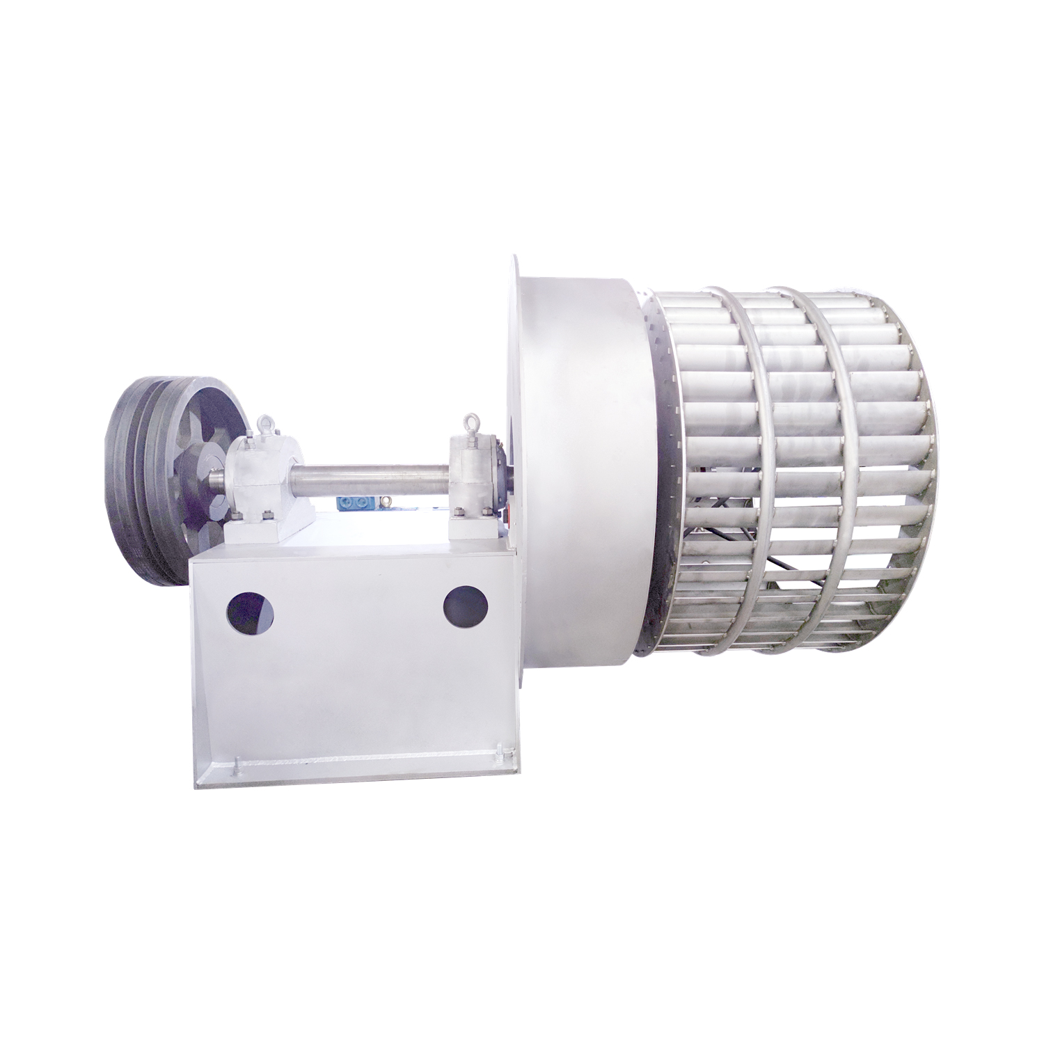 ����¯Ҷ��